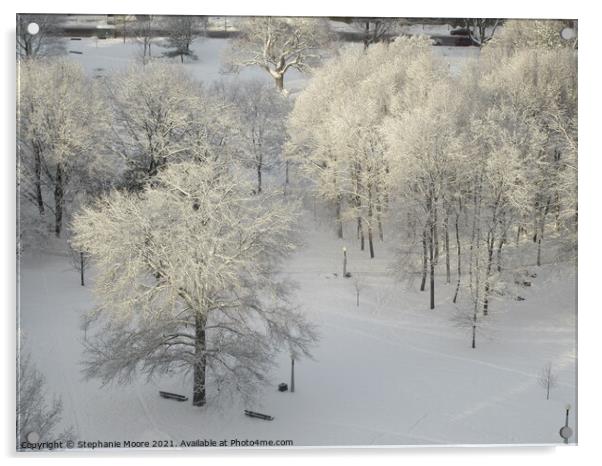 After the Blizzard 2 Acrylic by Stephanie Moore