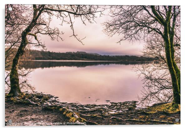 Bassenthwaite Lake Cumbria  Acrylic by Phil Longfoot