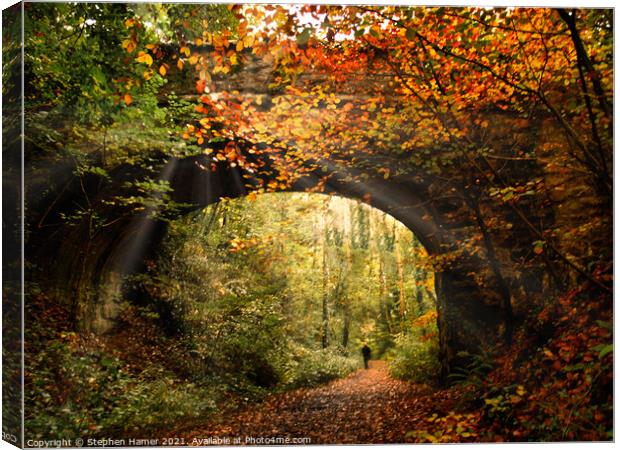 Autumn Woodland Walk Canvas Print by Stephen Hamer