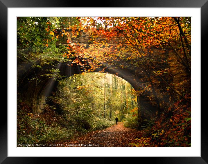 Autumn Woodland Walk Framed Mounted Print by Stephen Hamer