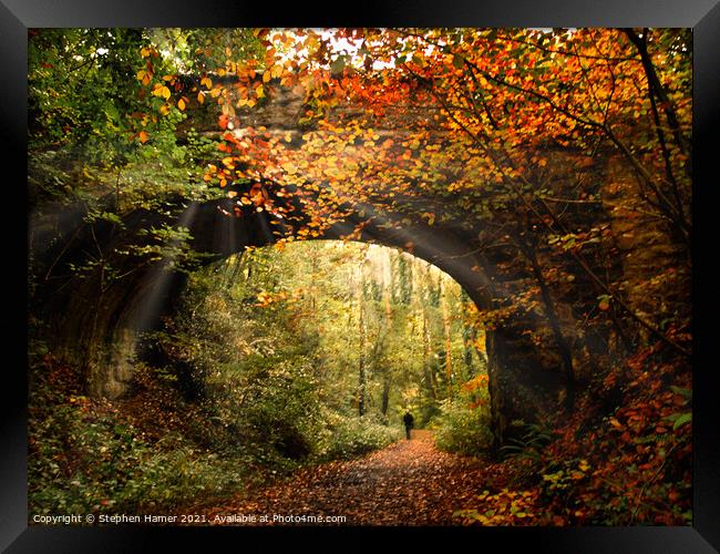 Autumn Woodland Walk Framed Print by Stephen Hamer