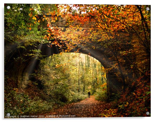 Autumn Woodland Walk Acrylic by Stephen Hamer