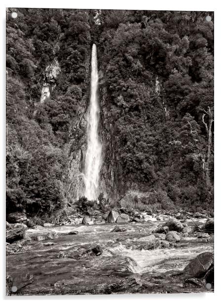 Thunder Creek Falls BW- New Zealand Acrylic by Steven Ralser