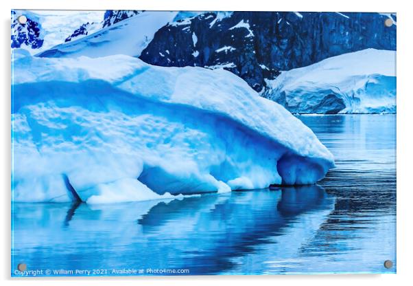Blue Iceberg Reflection Paradise Bay Antarctica Acrylic by William Perry