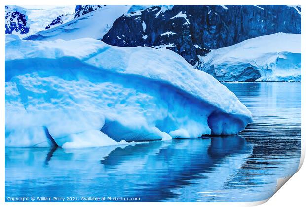 Blue Iceberg Reflection Paradise Bay Antarctica Print by William Perry