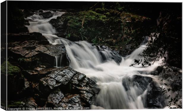 The Falls of Eskdale - Lake District Waterfall Canvas Print by Tracey Smith