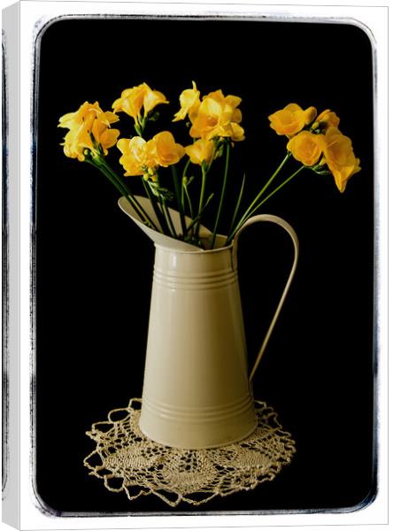 Daffodils in a water jug Canvas Print by Brian Pierce