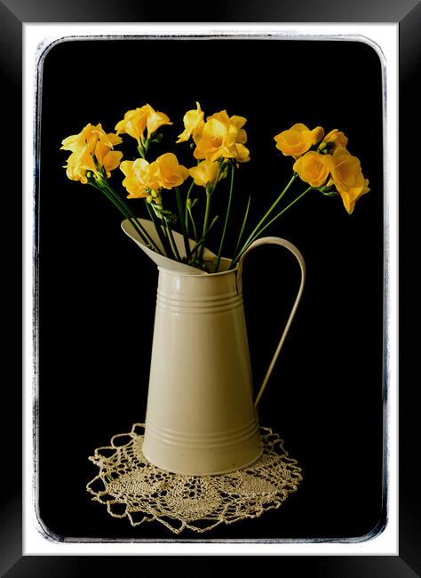 Daffodils in a water jug Framed Print by Brian Pierce