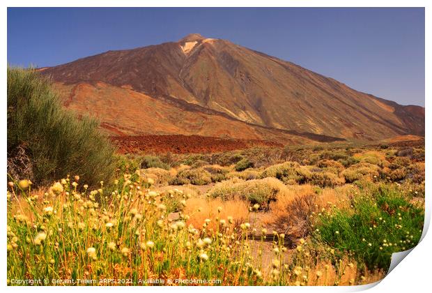 Mt. Teide, Tenerife, Canary Islands Print by Geraint Tellem ARPS
