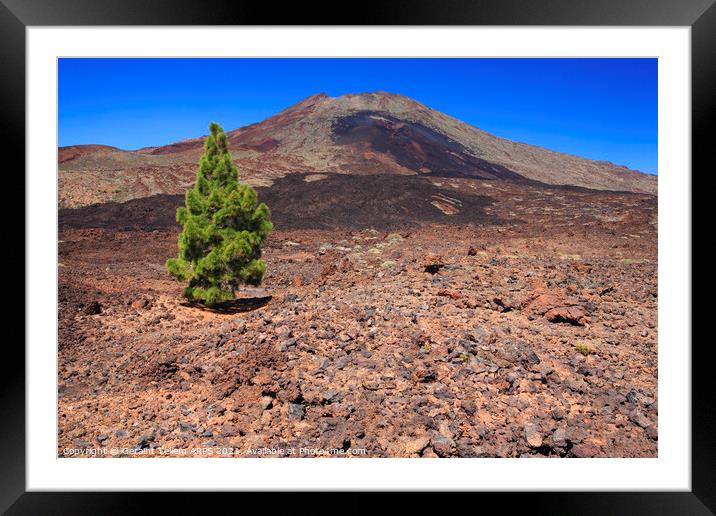 Mt. Teide, Tenerife, Canary Islands Framed Mounted Print by Geraint Tellem ARPS