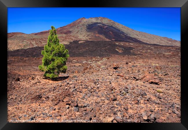 Mt. Teide, Tenerife, Canary Islands Framed Print by Geraint Tellem ARPS