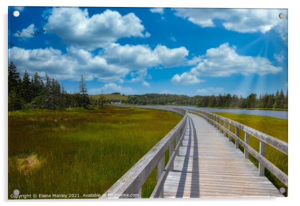 Broardwalk on the Beach Acrylic by Elaine Manley