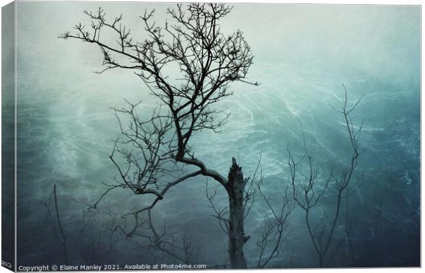 Tree by the Rushing Water Canvas Print by Elaine Manley