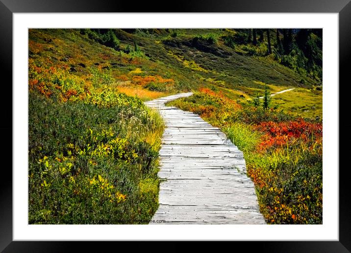 Walkway through the meadow Framed Mounted Print by Chuck Koonce