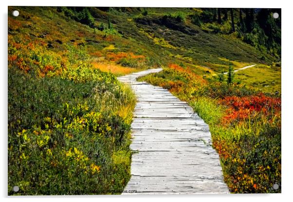 Walkway through the meadow Acrylic by Chuck Koonce