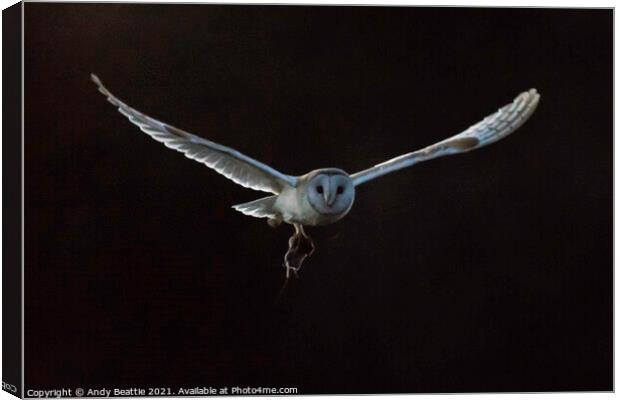 Barn Owl with Field Vole Canvas Print by Andy Beattie