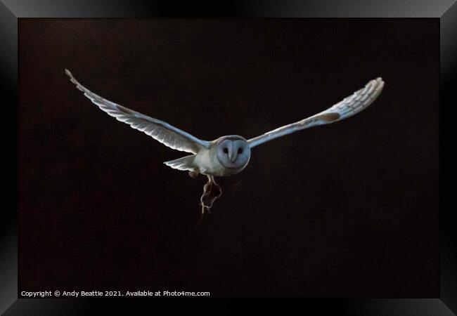 Barn Owl with Field Vole Framed Print by Andy Beattie