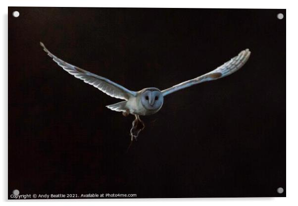 Barn Owl with Field Vole Acrylic by Andy Beattie