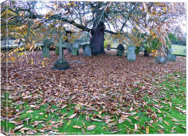 Autumn at the Church Cemetery  Canvas Print by Sheila Eames