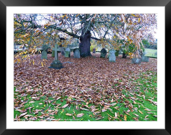 Autumn at the Church Cemetery  Framed Mounted Print by Sheila Eames