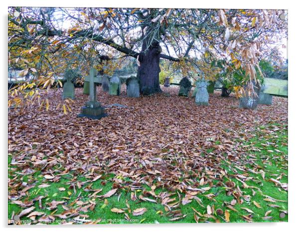 Autumn at the Church Cemetery  Acrylic by Sheila Eames