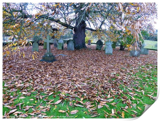 Autumn at the Church Cemetery  Print by Sheila Eames