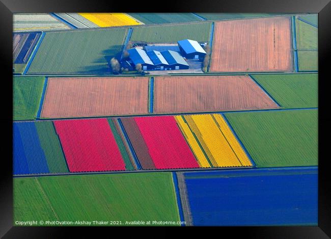 Aerial view of colorful Tulip fields in Holland.  Framed Print by PhotOvation-Akshay Thaker