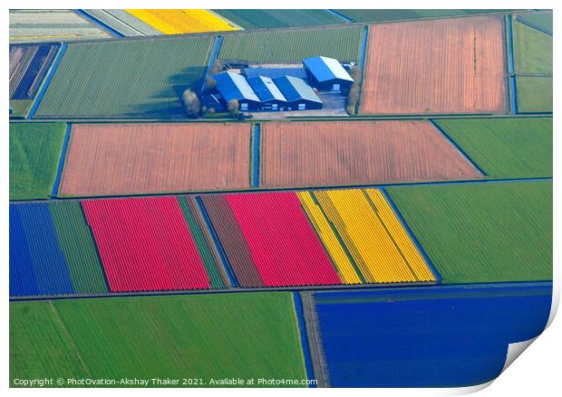 Aerial view of colorful Tulip fields in Holland.  Print by PhotOvation-Akshay Thaker
