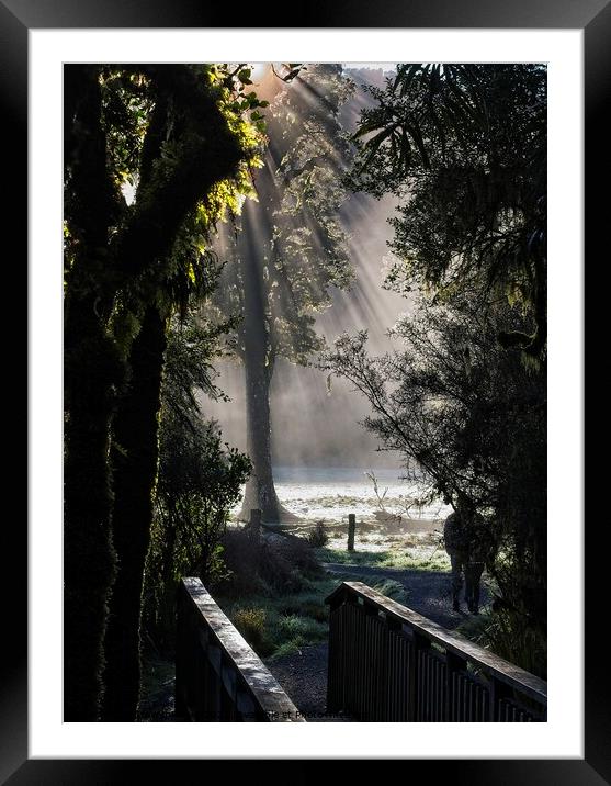 Lake Matheson Trail, New Zealand Framed Mounted Print by Steven Ralser