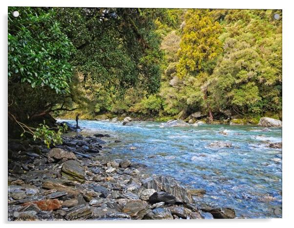 Haast River, South Island, New Zealand Acrylic by Steven Ralser