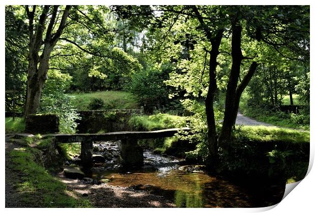 Clapper Bridge, Wycoller Country Park Print by Peter Wiseman