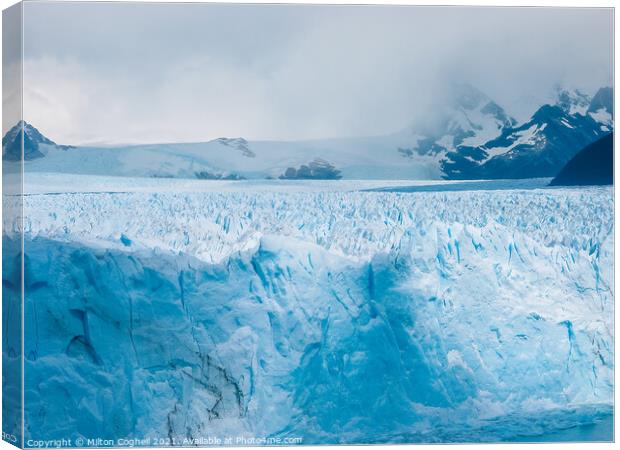 Perito Moreno Glacier Canvas Print by Milton Cogheil