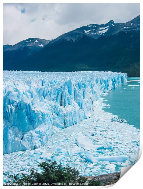 Perito Moreno Glacier Print by Milton Cogheil