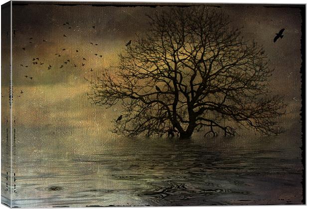 After the Storm Canvas Print by Sandra Pledger