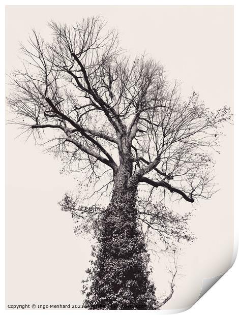 Black and artful big tree on beige background Print by Ingo Menhard