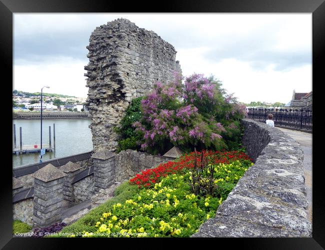 River, City Wall and Garden at Rochester, Kent Framed Print by Sheila Eames