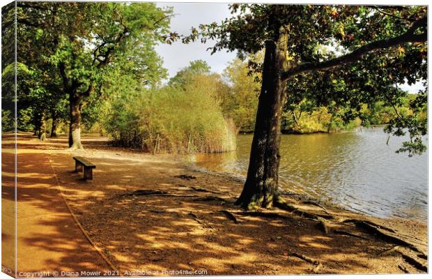  Epping Forest Lake View Canvas Print by Diana Mower
