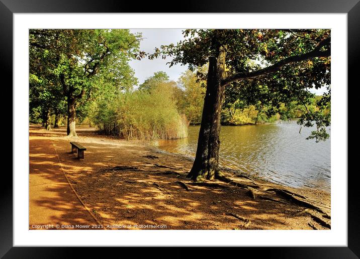  Epping Forest Lake View Framed Mounted Print by Diana Mower