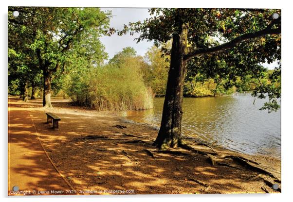  Epping Forest Lake View Acrylic by Diana Mower