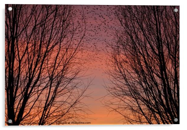 Through the trees sunset  Acrylic by Liann Whorwood