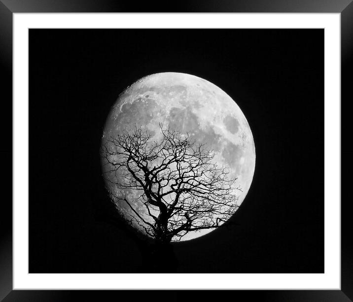 Moon Shot Silhouette Framed Mounted Print by simon alun hark