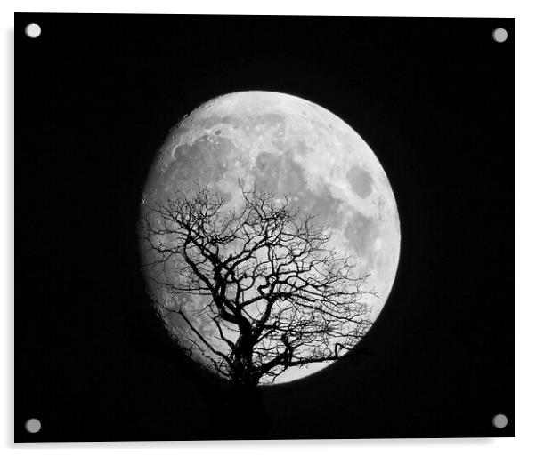 Moon Shot Silhouette Acrylic by simon alun hark