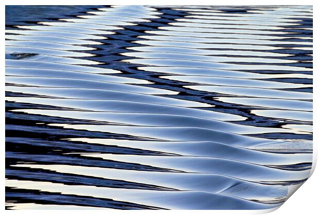 Water Ripples in the Ocean Print by Arterra 