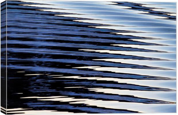 Water Ripples in Lake Canvas Print by Arterra 