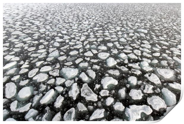 Drift Ice in Arctic Sea, Svalbard Print by Arterra 