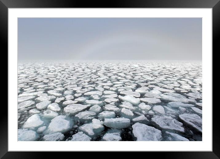 Drifting Ice Floes in Arctic Ocean, Svalbard Framed Mounted Print by Arterra 