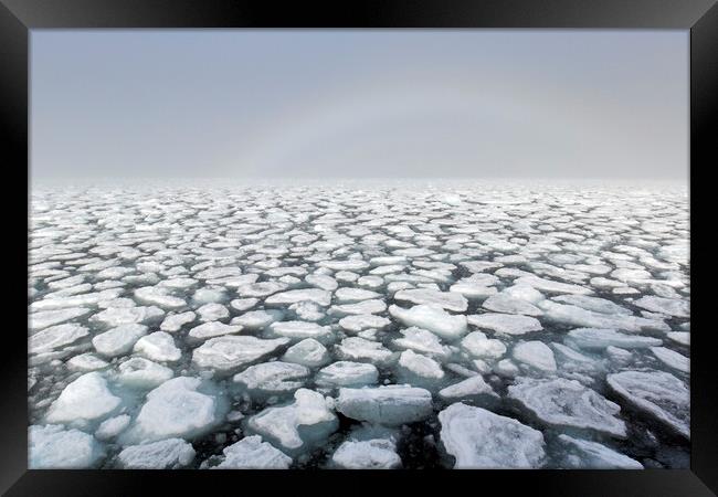 Drifting Ice Floes in Arctic Ocean, Svalbard Framed Print by Arterra 