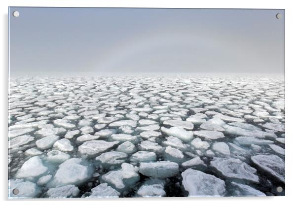 Drifting Ice Floes in Arctic Ocean, Svalbard Acrylic by Arterra 