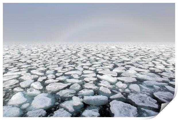 Drifting Ice Floes in Arctic Ocean, Svalbard Print by Arterra 