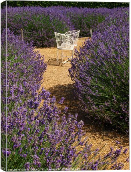 Love seat amongst lavender Canvas Print by Nik Taylor